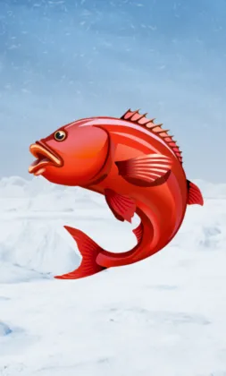 Live Casino Ice Fishing